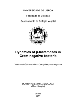 Dynamics of Β-Lactamases in Gram-Negative Bacteria