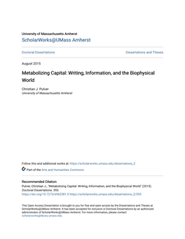 Metabolizing Capital: Writing, Information, and the Biophysical World