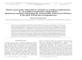 I. Acanthocephalus Anguillae (Palaeacanthocephala) in Naturally Infected Fishes: LM and TEM Investigations