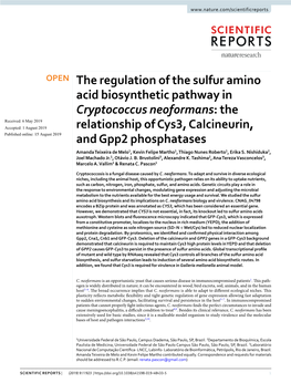 The Regulation of the Sulfur Amino Acid Biosynthetic Pathway In