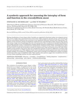 A Synthetic Approach for Assessing the Interplay of Form and Function in the Crocodyliform Snout