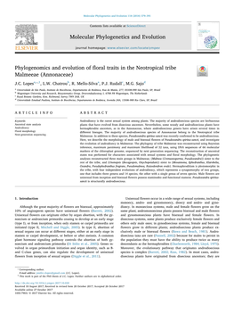 Phylogenomics and Evolution of Floral Traits in the Neotropical Tribe