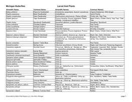 Michigan Butterflies Larval Host Plants