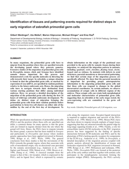 Primordial Germ Cell Migration in Zebrafish