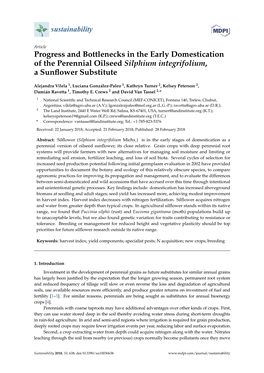 Progress and Bottlenecks in the Early Domestication of the Perennial Oilseed Silphium Integrifolium, a Sunﬂower Substitute