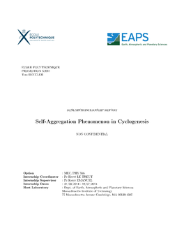 Self-Aggregation Phenomenon in Cyclogenesis