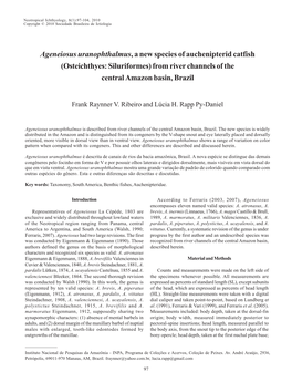 Ageneiosus Uranophthalmus, a New Species of Auchenipterid Catfish (Osteichthyes: Siluriformes) from River Channels of the Central Amazon Basin, Brazil