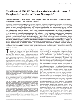 Human Neutrophils the Secretion of Cytoplasmic Granules In