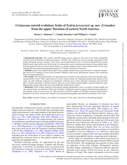 Cretaceous Asterid Evolution: Fruits of Eydeia Jerseyensis Sp
