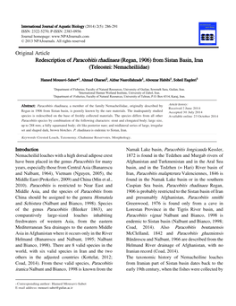 Original Article Redescription of Paracobitis Rhadinaea (Regan, 1906) from Sistan Basin, Iran (Teleostei: Nemacheiliidae)