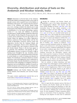 Diversity, Distribution and Status of Bats on the Andaman and Nicobar Islands, India