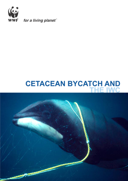 Cetacean Bycatch and the Iwc Table of Contents