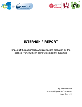 Internship Report