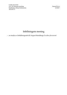 Inbillningens Mening