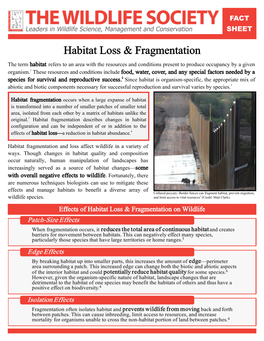 Habitat Loss & Fragmentation