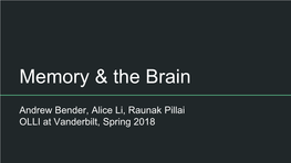 Memory & the Brain