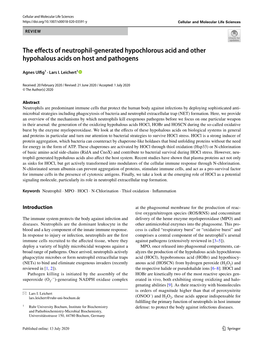 The Effects of Neutrophil-Generated Hypochlorous Acid and Other