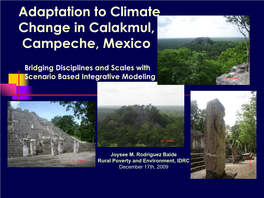 Adaptation to Climate Change in Calakmul, Campeche, Mexico