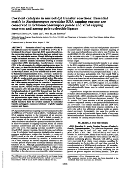 Conserved in Schizosaccharomyces Pombe and Viral Capping Enzymes