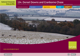 NCA Profile:134 Dorset Downs and Cranborne Chase