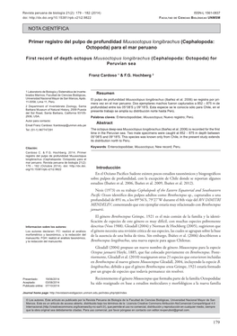 Primer Registro Del Pulpo De Profundidad Muusoctopus Longibrachus (Cephalopoda: Octopoda) Para El Mar Peruano