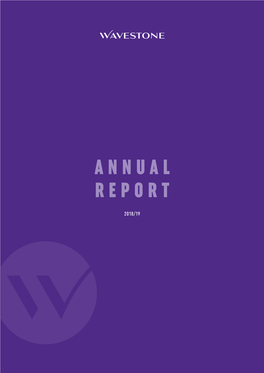 PDF 2 August 2019 2018/19 Annual Report