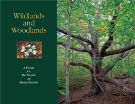 Wildlands and Woodlands: a Vision