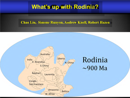 What's up with Rodinia?