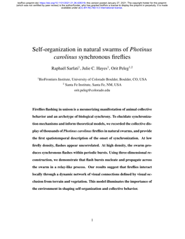 Self-Organization in Natural Swarms of Photinus Carolinus Synchronous ﬁreﬂies