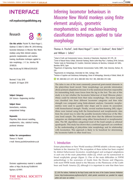 Inferring Locomotor Behaviours in Miocene New World Monkeys Using