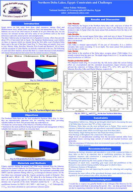 Northern Delta Lakes, Egypt: Constraints and Challenges