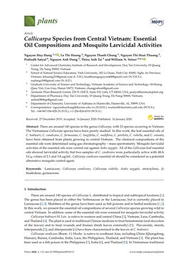 Callicarpa Species from Central Vietnam: Essential Oil Compositions and Mosquito Larvicidal Activities