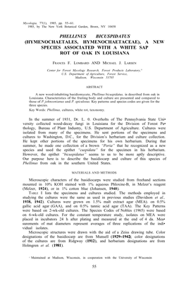 Phellinus Bicuspidatus (Hymenochaetales, Hymenochaetaceae), a New Species Associated with a White Sap Rot of Oak in Louisiana