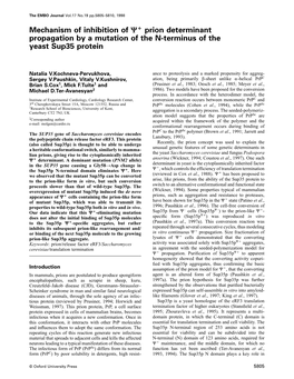 Mechanism of Inhibition of Psi+ Prion Determinant Propagation by a Mutation of the N-Terminus of the Yeast Sup35 Protein