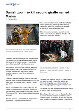 Danish Zoo May Kill Second Giraffe Named Marius 13 February 2014