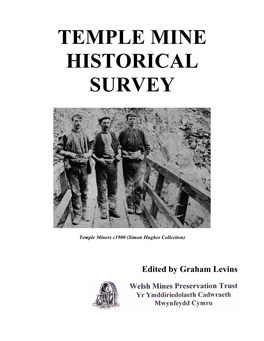 Temple Mine Historical Survey