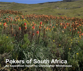 Pokers of South Africa