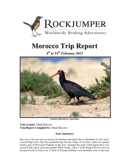 Morocco Trip Report