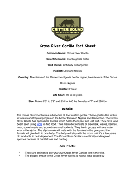 Cross River Gorilla Fact Sheet