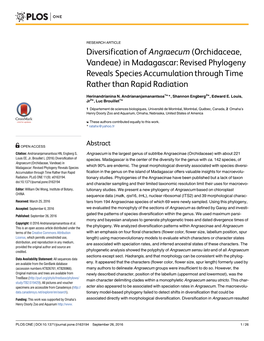 Diversification of Angraecum (Orchidaceae, Vandeae) in Madagascar: Revised Phylogeny Reveals Species Accumulation Through Time Rather Than Rapid Radiation