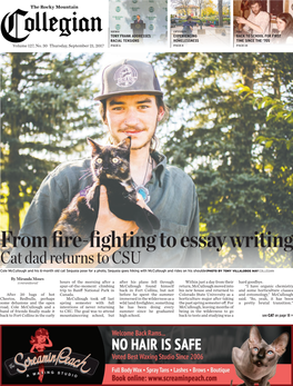 From Fire-Fighting to Essay Writing