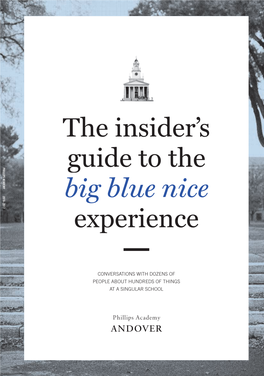 The Insider's Guide to the Big Blue Nice Experience