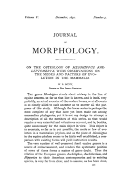 On the Osteology of Mesohippus and Leptomeryx, with Observations On