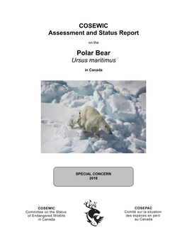 COSEWIC Assessment and Status Report on the Polar Bear Ursus Maritimus in Canada