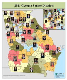 2021 State Senate Districts