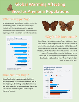 Global Warming Affecting Bicyclus Anynana Populations