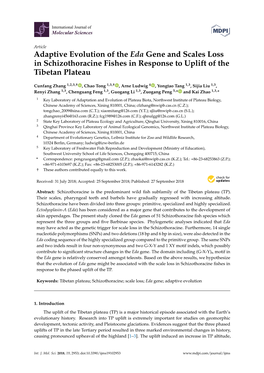 Adaptive Evolution of the Eda Gene and Scales Loss in Schizothoracine Fishes in Response to Uplift of the Tibetan Plateau