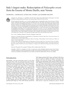 Italy's Largest Snake: Redescription of Palaeophis