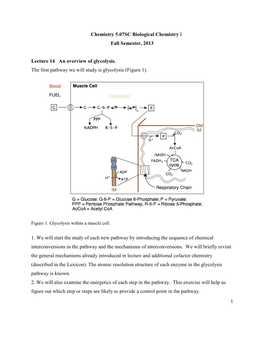 Biological Chemistry I: Overview of Glycolysis