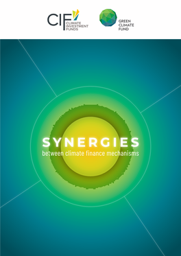 Synergies Between Climate Finance Mechanisms Synthesis Report